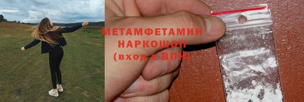 прущие грибы Волосово
