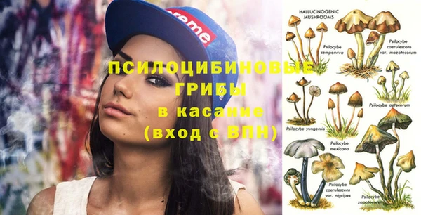 спайс Верея