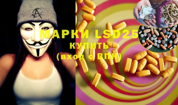прущие грибы Волосово