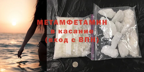 прущие грибы Волосово