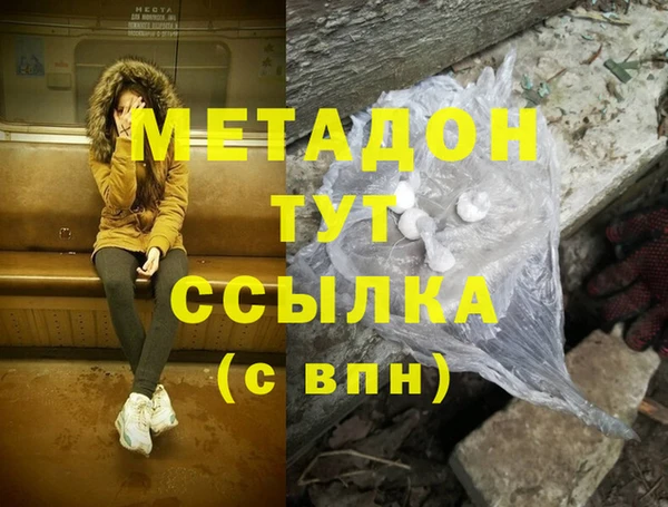 прущие грибы Волосово