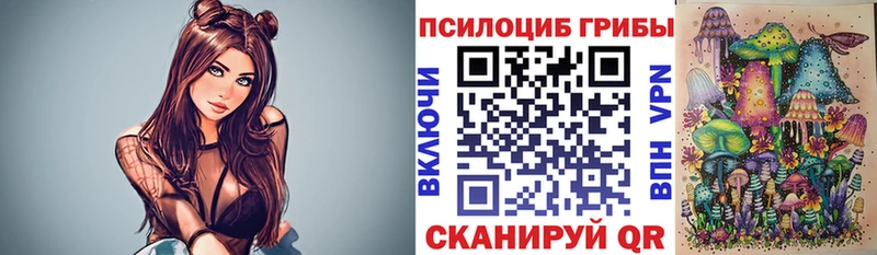Купить  Костерёво  Галлюциногенные грибы GOLDEN TEACHER 